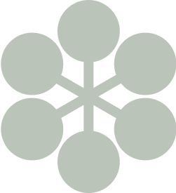Constellation logo