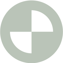Vanguard logo